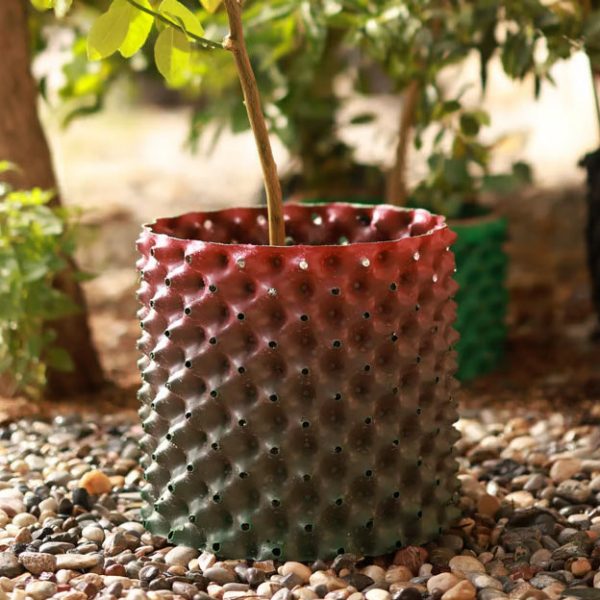 Akıllı Saksı 38 Litre